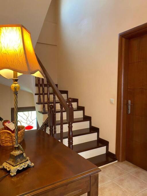 Helen'S House Apartment Palairos Exterior photo